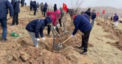 【市城市燃熱集團富泰熱力】公司組織開展義務(wù)植樹活動